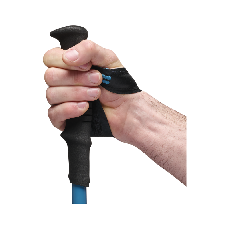 Black Diamond Distance Carbon FLZ Poles Desert Sky-6