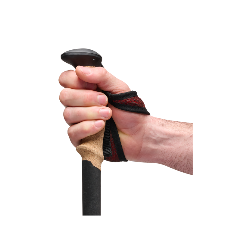 Black Diamond Pursuit Carbon Z-Poles Octane-5