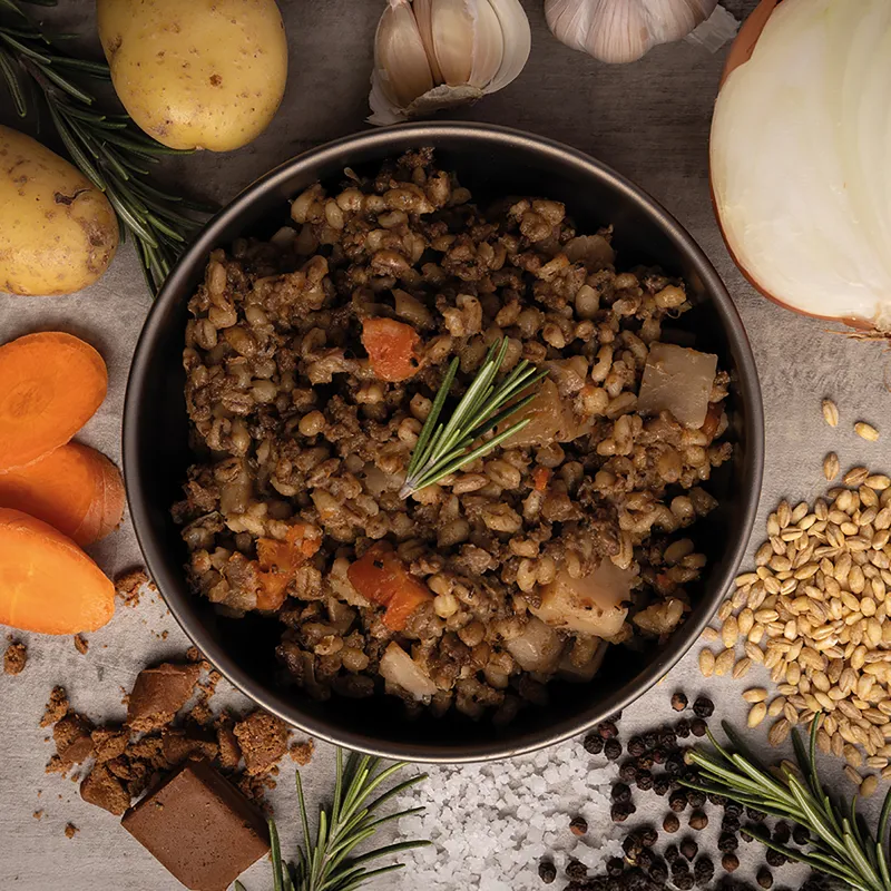 Wayfayrer Beef and Barley Stew-1