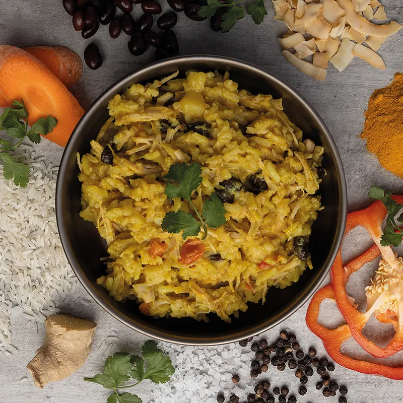 Wayfayrer Black Bean Chicken and Rice-1