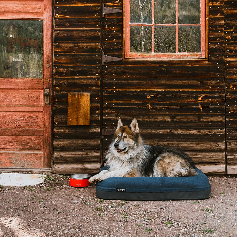 YETI Boomer Dog Bed Large Navy -6