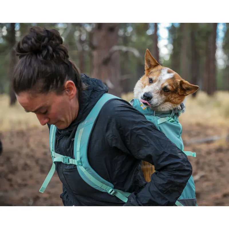 Ruffwear Hitch Hiker Dog Backpack Carrier Basalt Gray-4