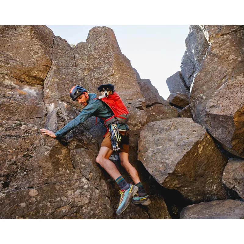 Ruffwear Hitch Hiker Dog Backpack Carrier Basalt Gray-11