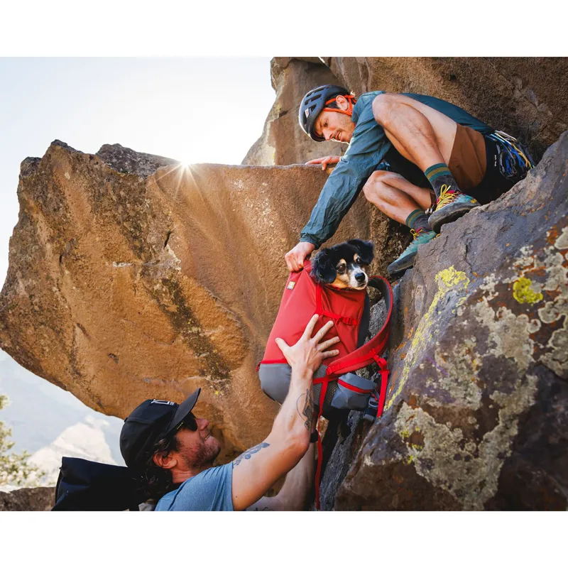 Ruffwear Hitch Hiker Dog Backpack Carrier Basalt Gray-7