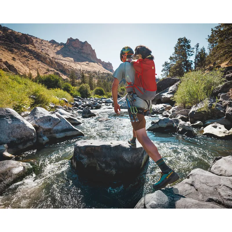 Ruffwear Hitch Hiker Dog Backpack Carrier Basalt Gray-9