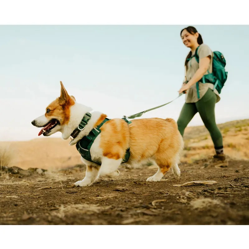 Ruffwear Front Range Flex Collar Deep Teal-2