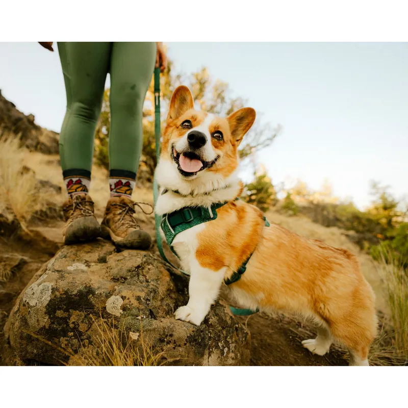 Ruffwear Front Range Flex Collar Deep Teal-3