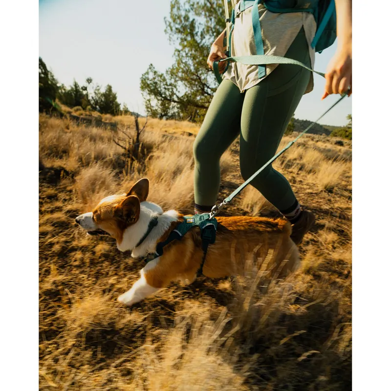 Ruffwear Front Range Flex Collar Deep Teal-5