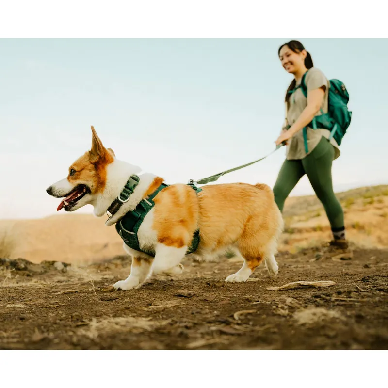 Ruffwear Front Range Flex Collar Rose Violet-2