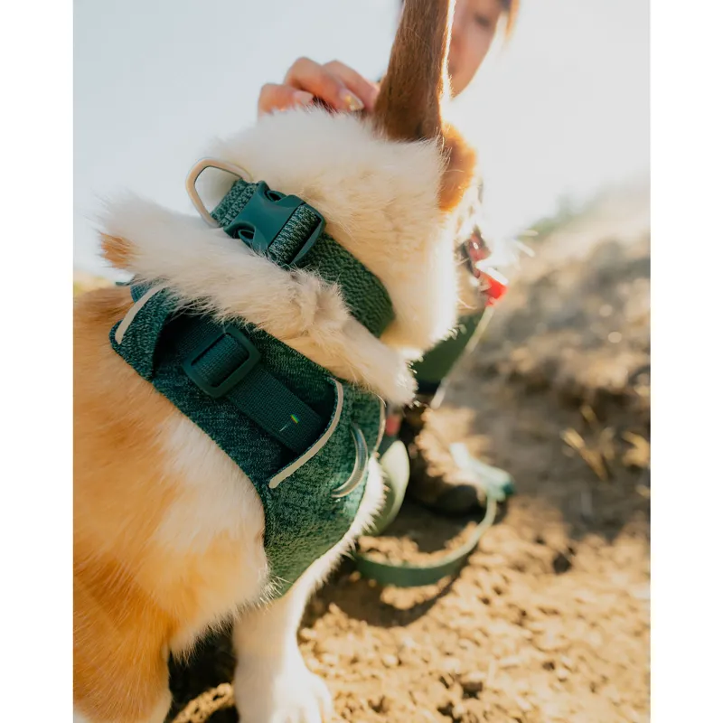 Ruffwear Front Range Flex Collar Rose Violet-3