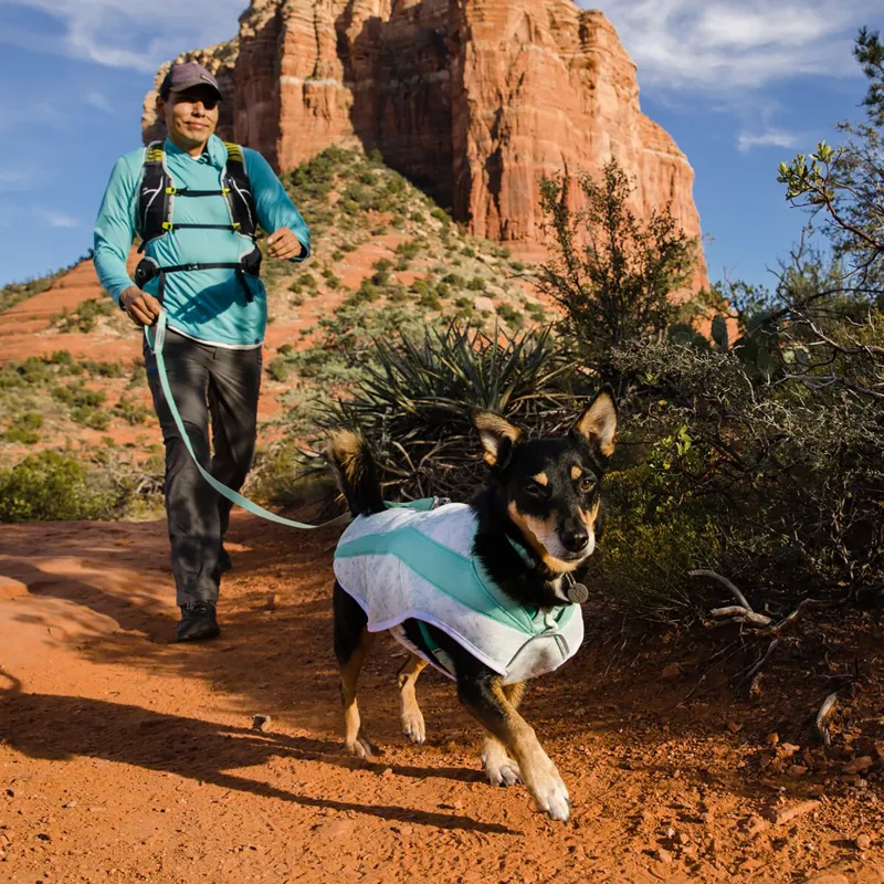 Ruffwear Swamp Cooler Vest Graphite Gray-7