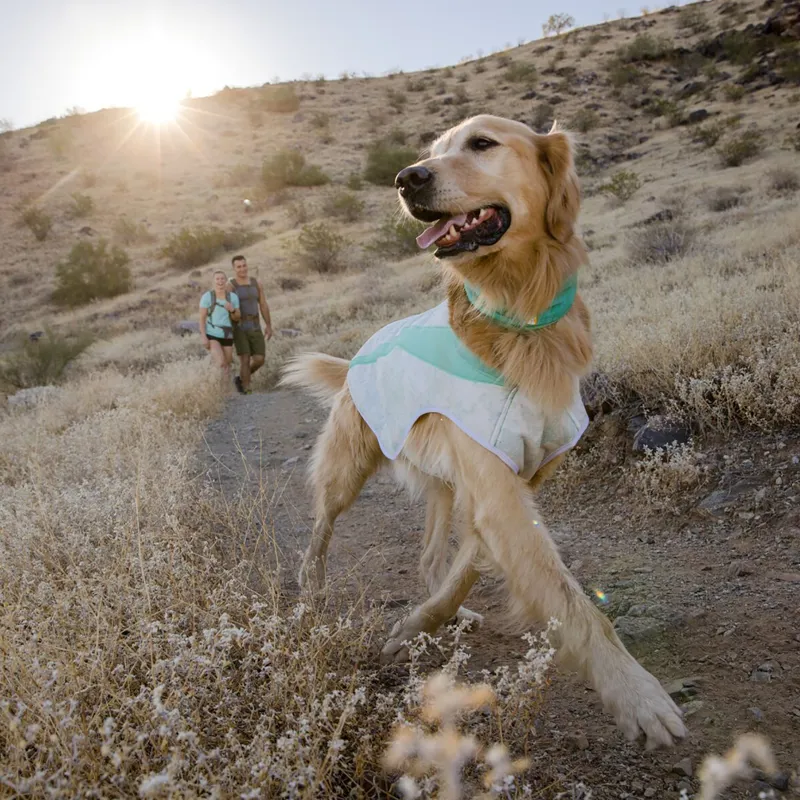 Ruffwear Swamp Cooler Vest Graphite Gray-11