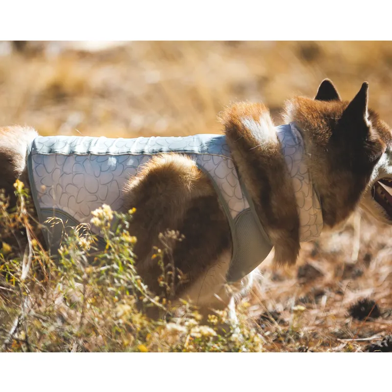 Ruffwear Swamp Cooler Zip Vest Graphite Gray-7