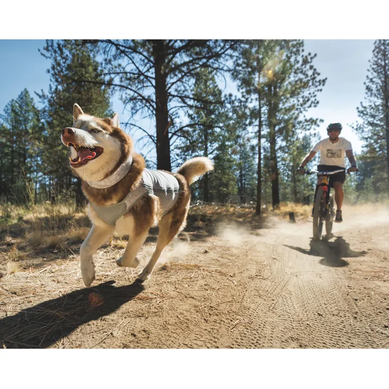 Ruffwear Swamp Cooler Zip Vest Graphite Gray-6