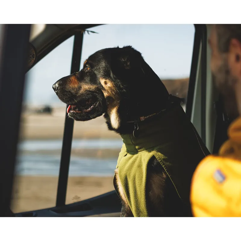 Ruffwear Climate Changer Fleece Vest Basalt Gray-11