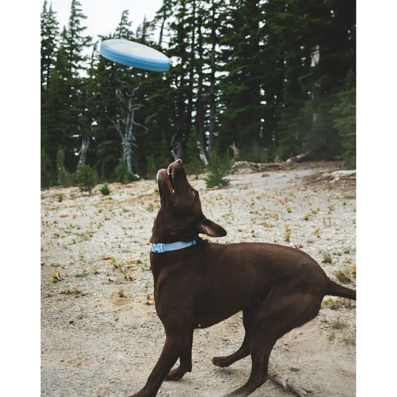 Ruffwear Camp Flyer Dog Toy Polar Blue-4