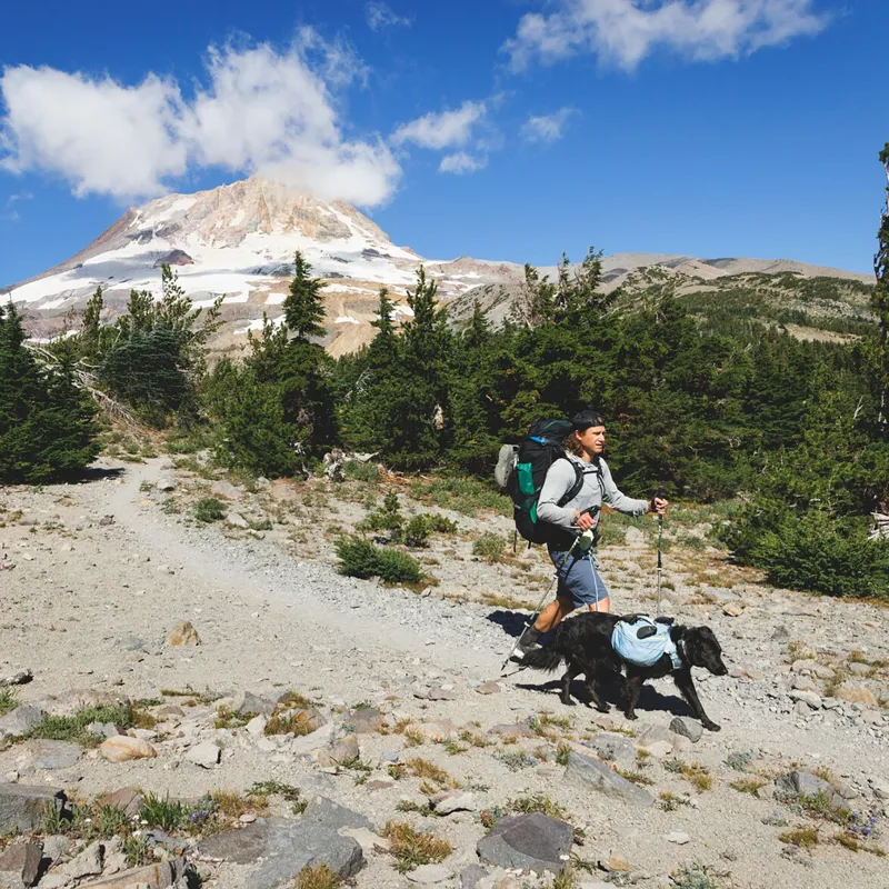 Ruffwear Palisades Pack Red Currant-13