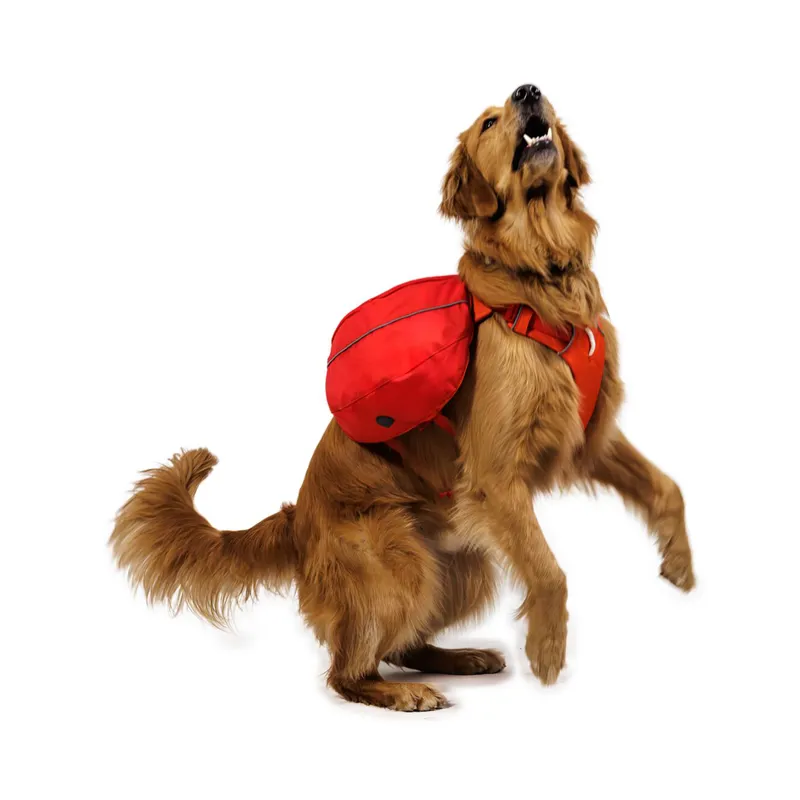 Ruffwear Palisades Pack Red Currant-5