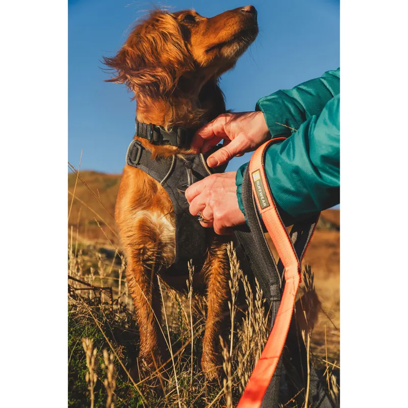 Ruffwear Front Range Dog Harness Red Canyon-8