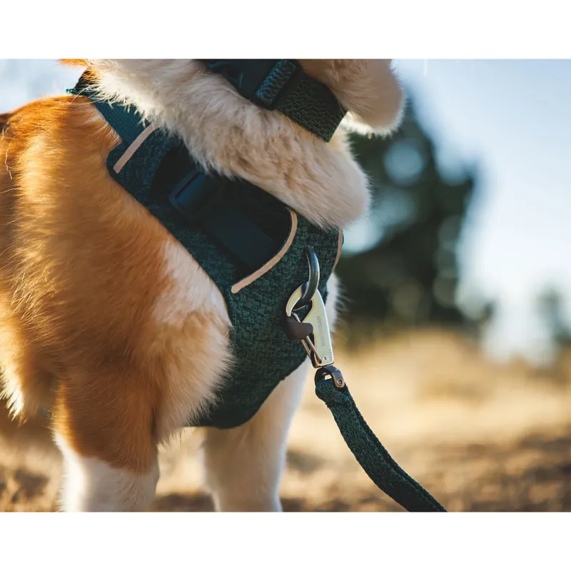 Ruffwear Front Range Flex Harness Basalt Gray-8