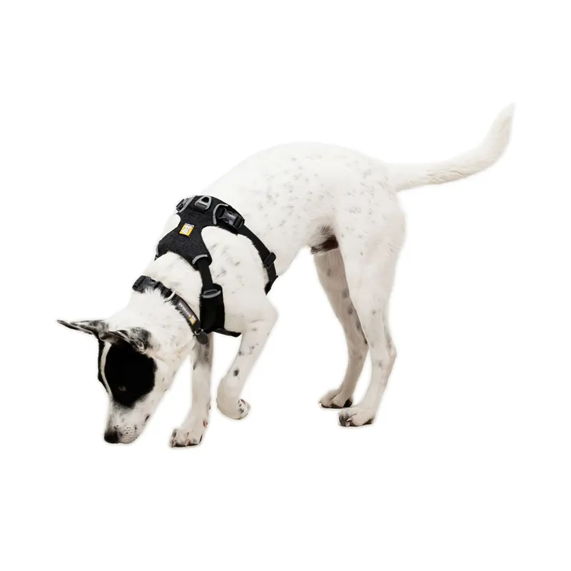 Ruffwear Front Range Flex Harness Basalt Gray-6