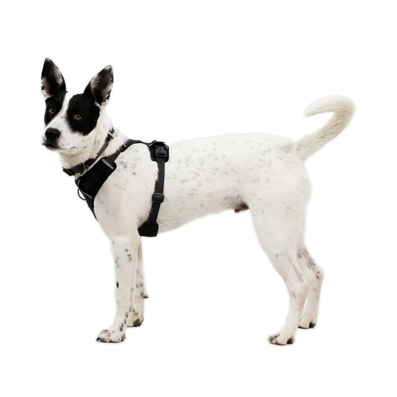 Ruffwear Front Range Flex Harness Basalt Gray-5