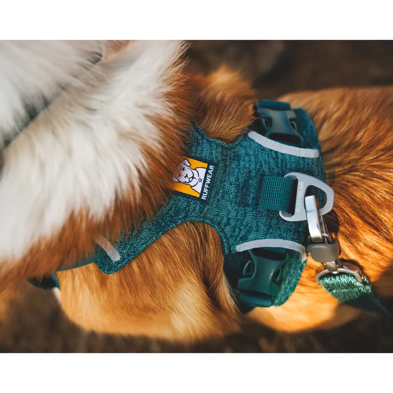 Ruffwear Front Range Flex Harness Deep Teal-9