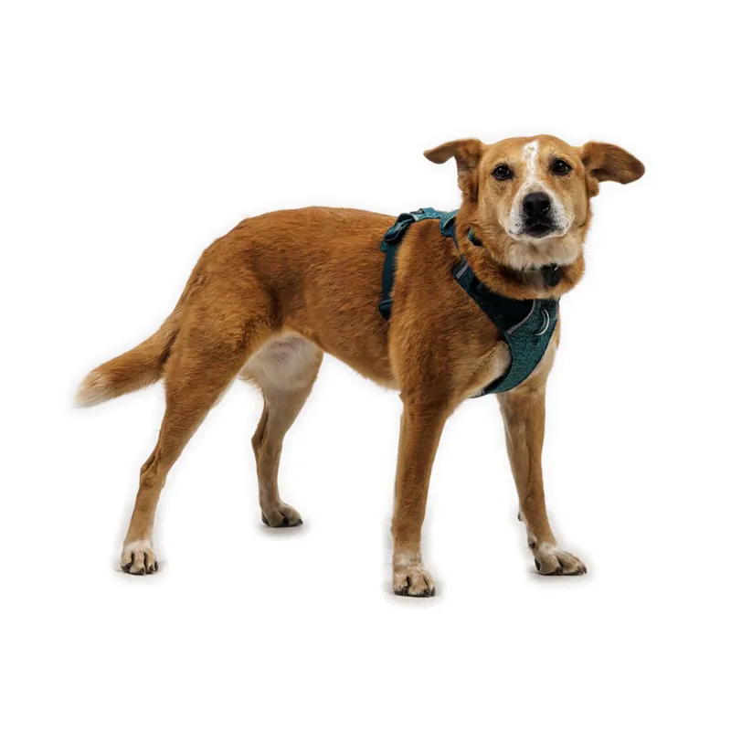 Ruffwear Front Range Flex Harness Deep Teal-5