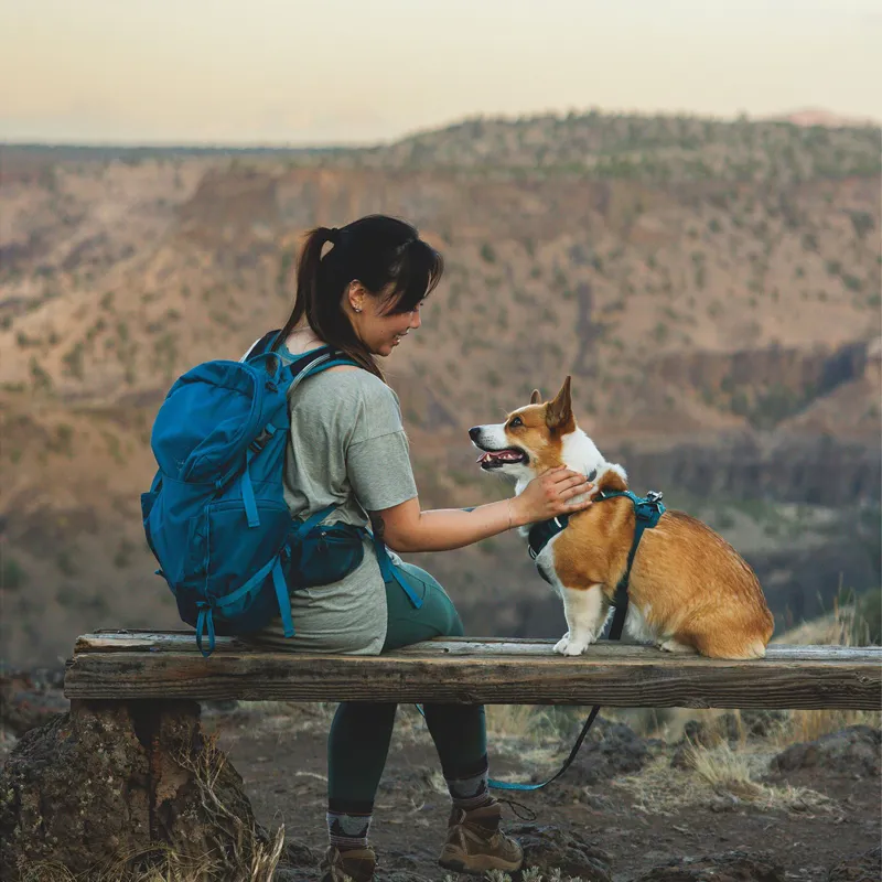 Ruffwear Front Range Flex Harness Deep Teal-11