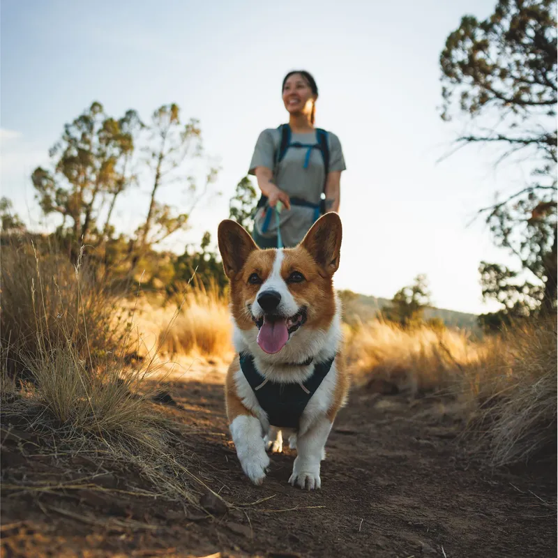 Ruffwear Front Range Flex Harness Deep Teal-7
