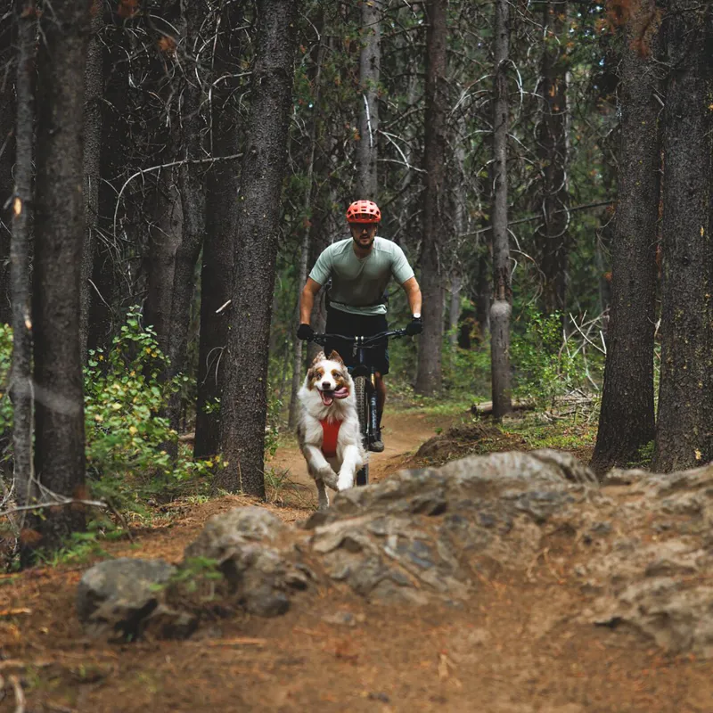 Ruffwear Front Range Flex Harness Rose Violet-9