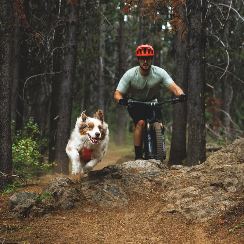Ruffwear Front Range Flex Harness Rose Violet-7
