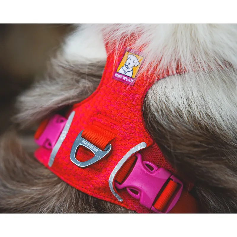 Ruffwear Front Range Flex Harness Rose Violet-8