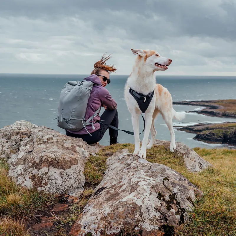 Ruffwear Ridgeline Harness Obsidian Black-11
