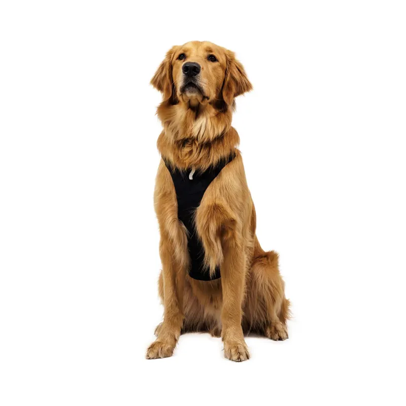 Ruffwear Ridgeline Harness Obsidian Black-8