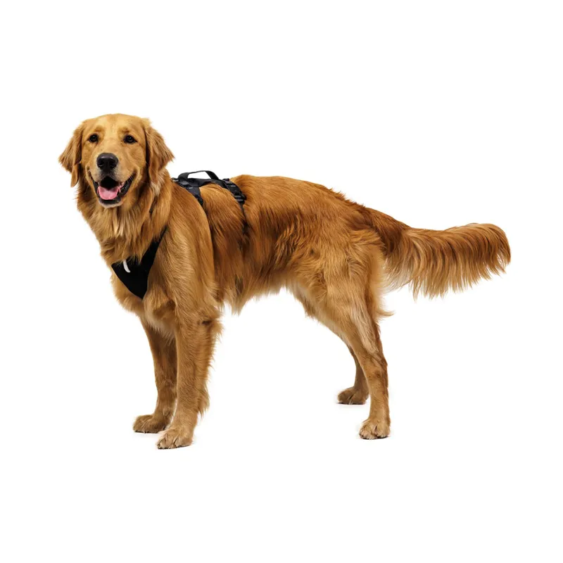 Ruffwear Ridgeline Harness Obsidian Black-9