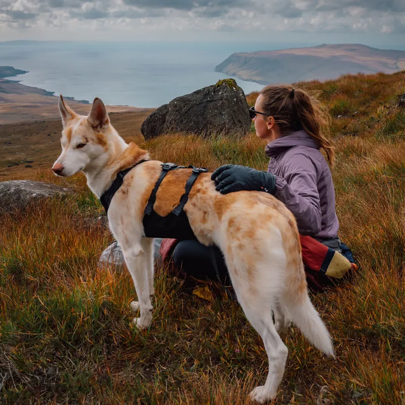 Ruffwear Ridgeline Harness Obsidian Black-12