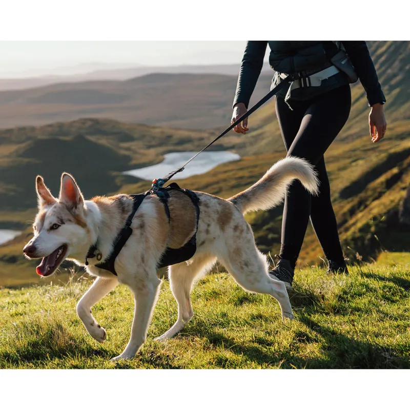 Ruffwear Ridgeline Leash Obsidian Black-5