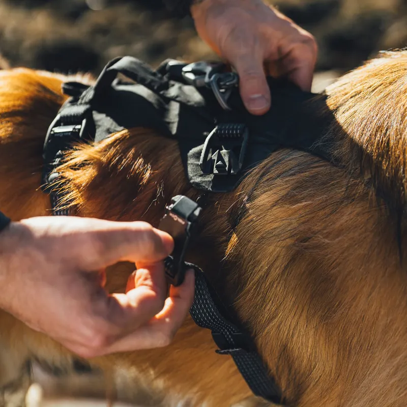 Ruffwear Ridgeline Harness Obsidian Black-10