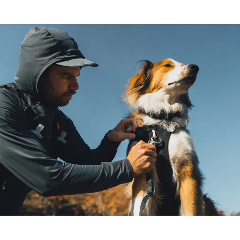 Ruffwear Ridgeline Harness Obsidian Black-13