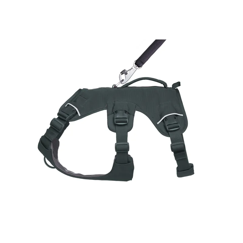 Ruffwear Web Master Harness Basalt Gray-5