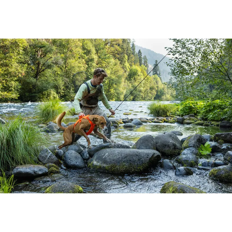 Ruffwear Web Master Harness River Rock Green-10