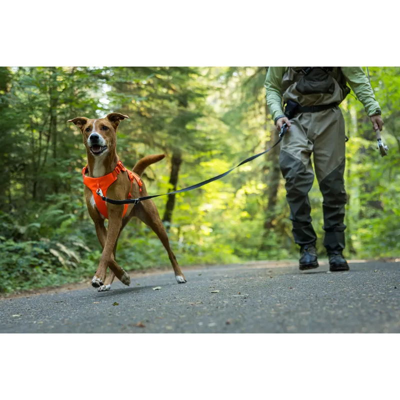 Ruffwear Web Master Harness River Rock Green-11