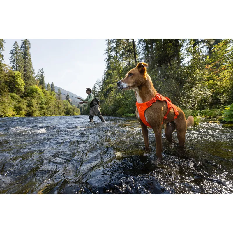 Ruffwear Web Master Harness Blaze Orange-10