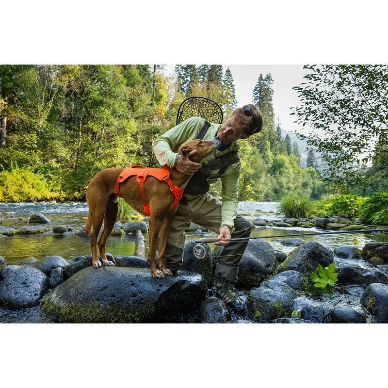 Ruffwear Web Master Harness Basalt Gray-12