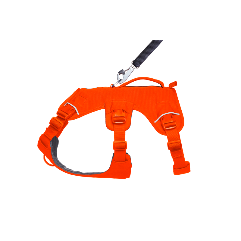 Ruffwear Web Master Harness Blaze Orange-4