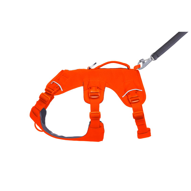 Ruffwear Web Master Harness Blaze Orange-5