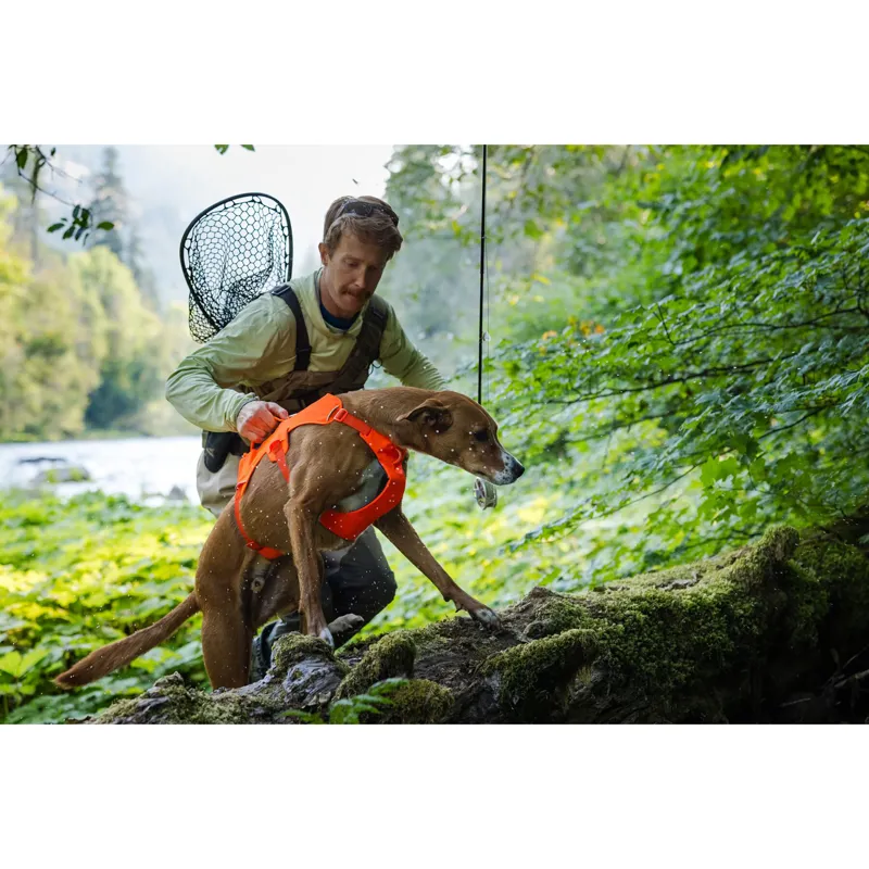 Ruffwear Web Master Harness River Rock Green-9