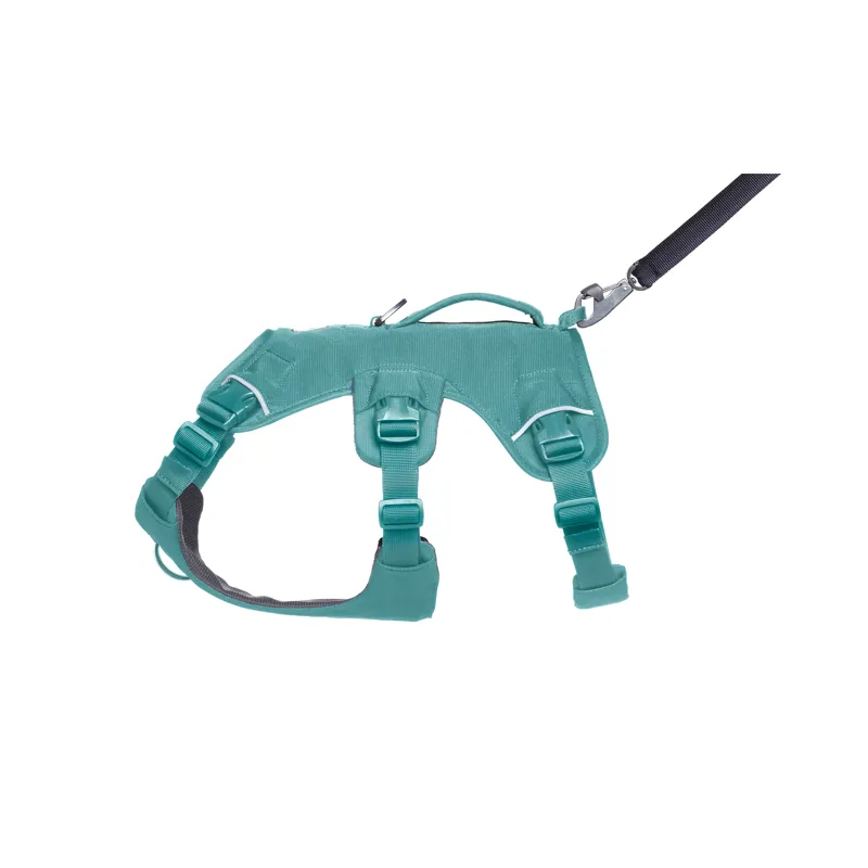 Ruffwear Web Master Harness River Rock Green-6