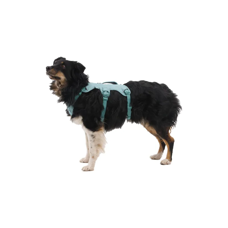 Ruffwear Web Master Harness River Rock Green-3